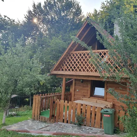трембіта Holiday home