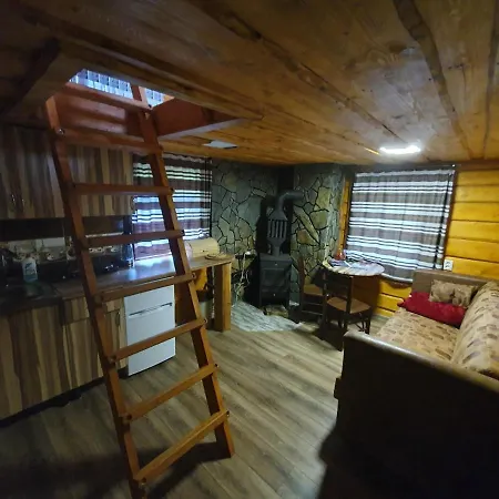 трембіта Holiday home *