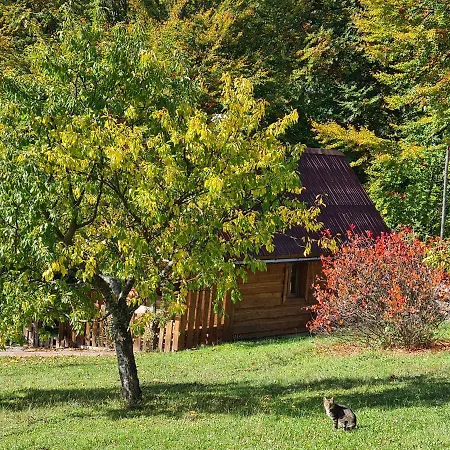 Holiday home трембіта