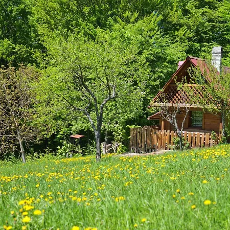 Holiday home трембіта