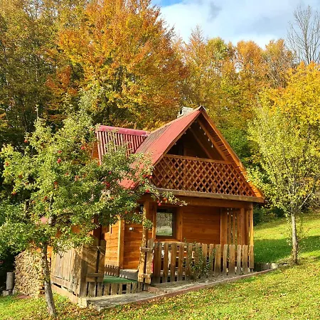 Holiday home трембіта