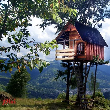трембіта Holiday home *