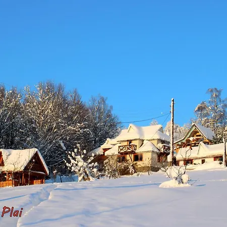 трембіта Holiday home