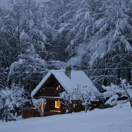 Holiday home трембіта *